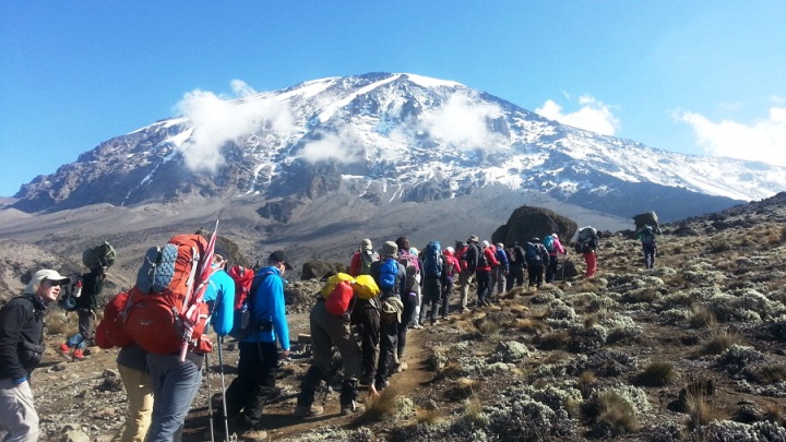 Kilimanjaro1