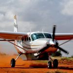 flying_safaris