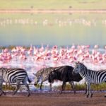 LakeManyara