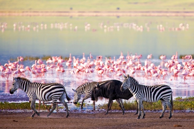 LakeManyara