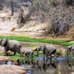 Ruaha_National_Park