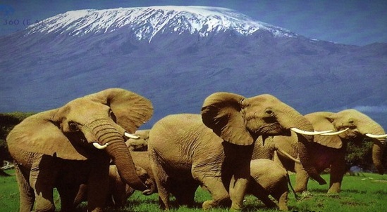 amboseli