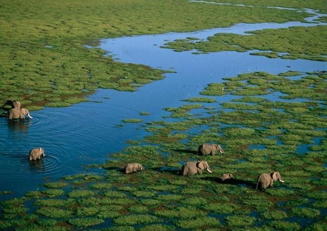 amboseli park