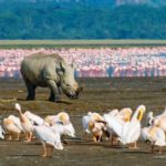 lake_nakuru2