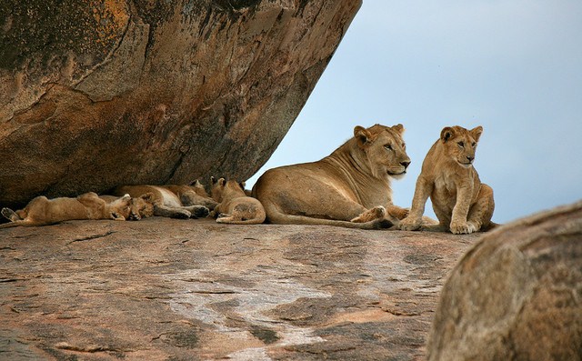 samburu park